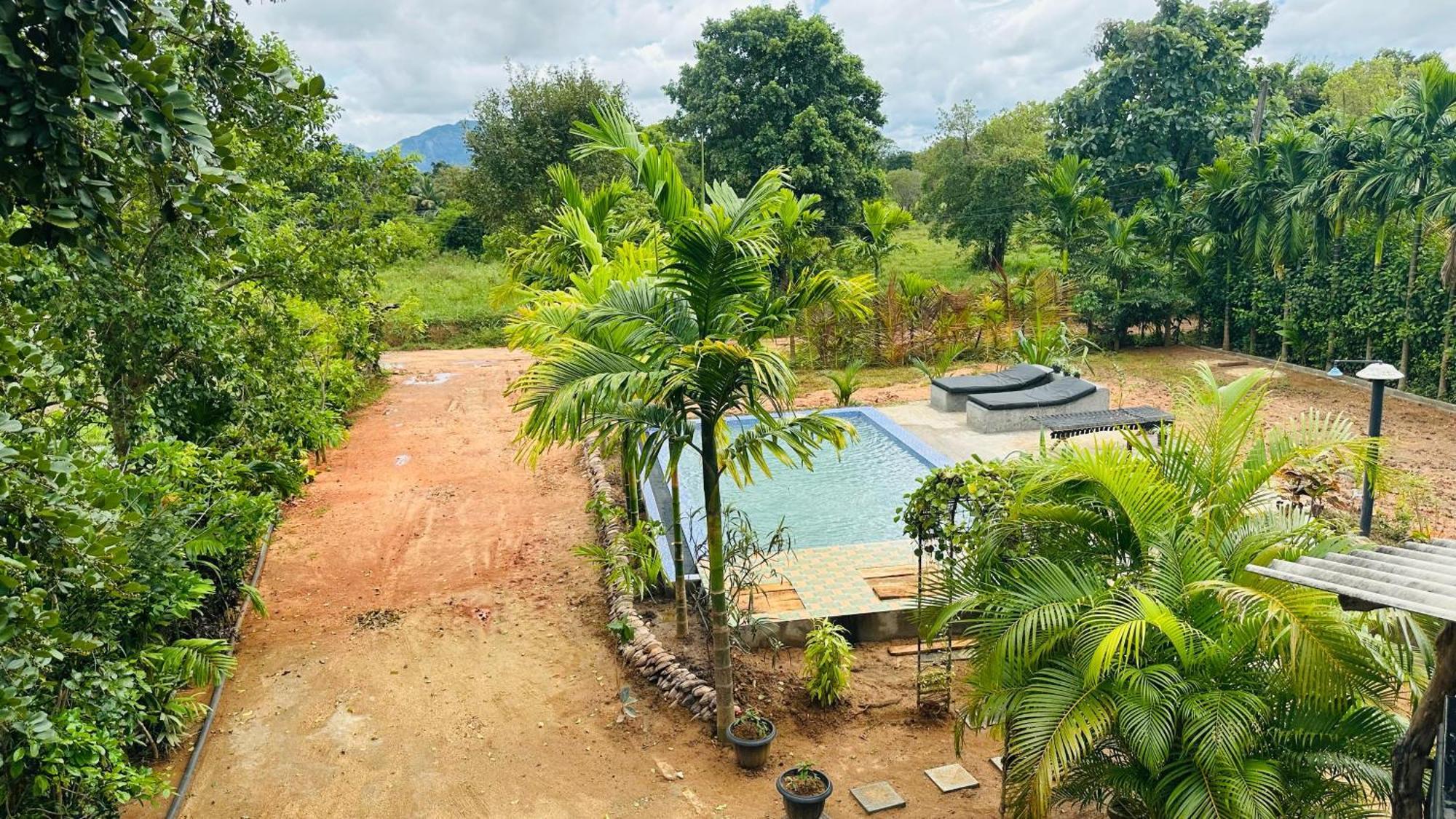Dew Ashi Homestay Sigiriya Exterior photo