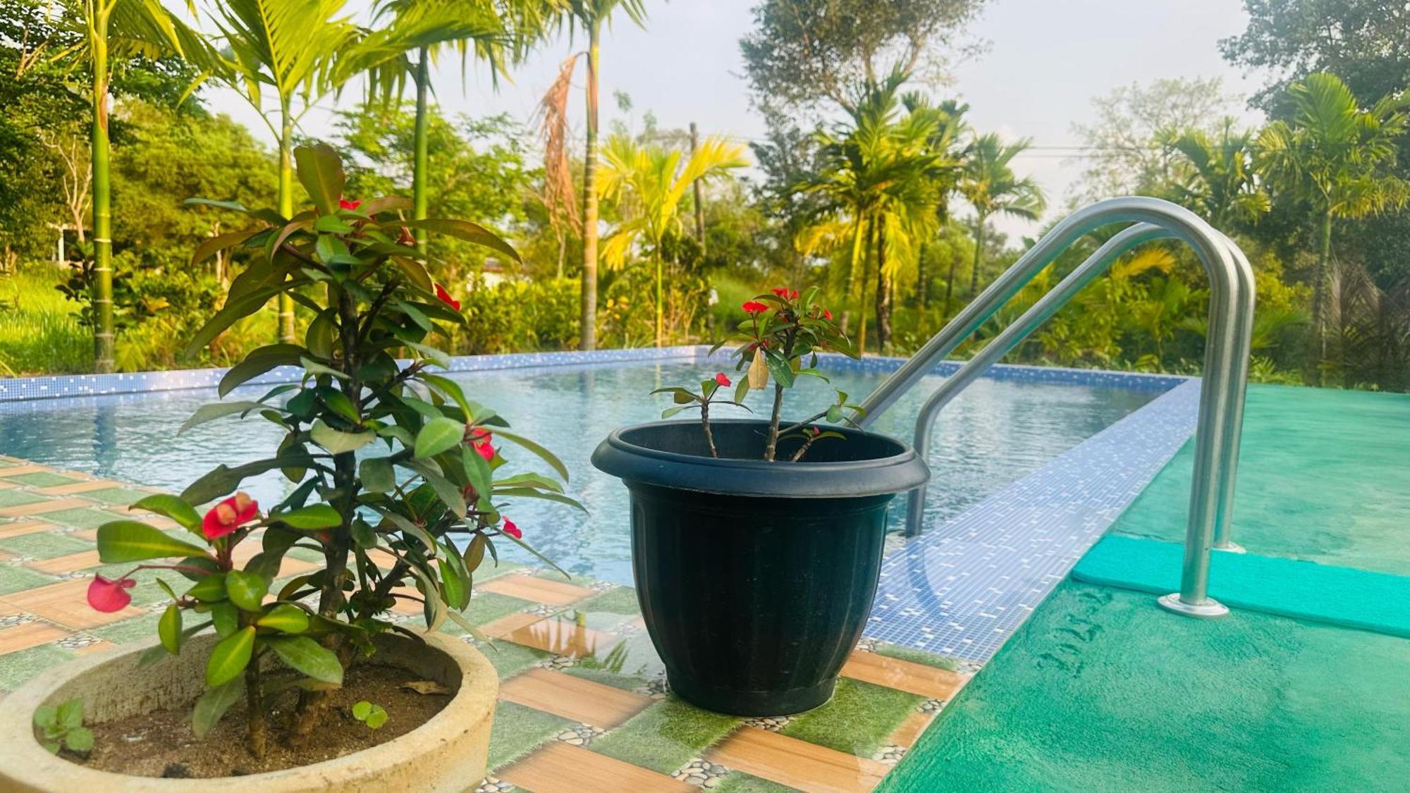Dew Ashi Homestay Sigiriya Exterior photo